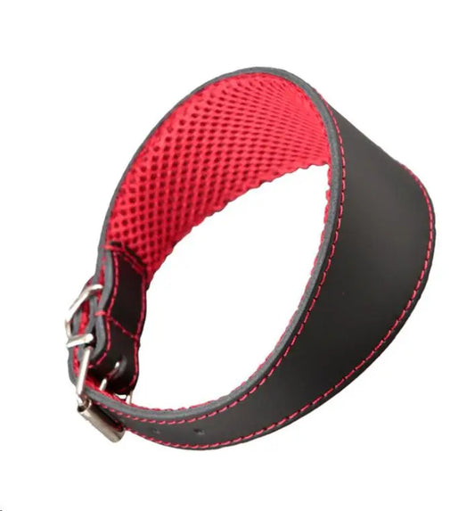 COLLAR CUERO GALGO 3D AMAZONE 35X4.5CM NEGRO/ROJO ARPPE