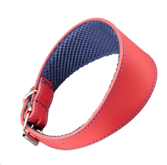 COLLAR CUERO GALGO 3D AMAZONE 35X4.5CM ROJO/AZUL ARPPE