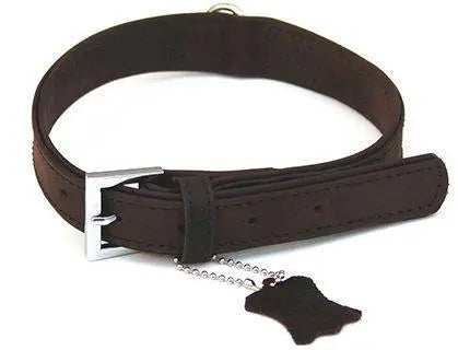 Collar piel 25mm x 57cm Freedog