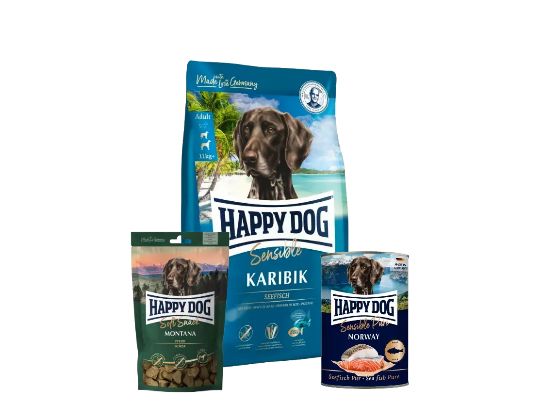 Happy Dog Sensible Karibik