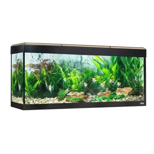 ACUARIO FLUVAL ROMA 240 Litros ROBLE 50x120x40cm.