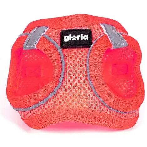 ARNES/VESTIDO AIR MESH TREK STAR ROSA T.XXXS – 18–20CM GLORIA