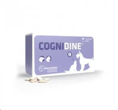 COGNIDINE 60 UDES. (sistema nervioso)