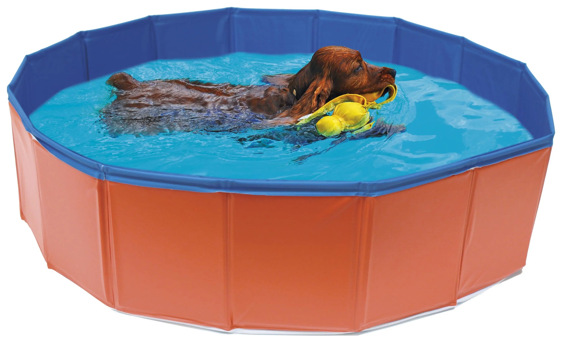 PISCINA PARA PERROS