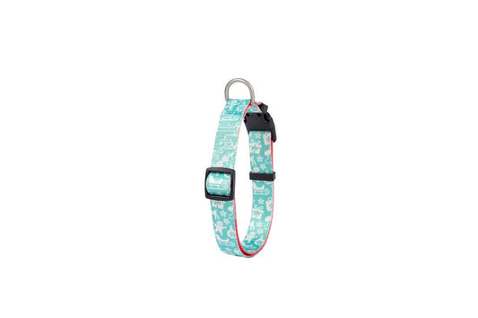 Collar Blue Ginger Cookie 15mm x 20/50cm T-S Freedog