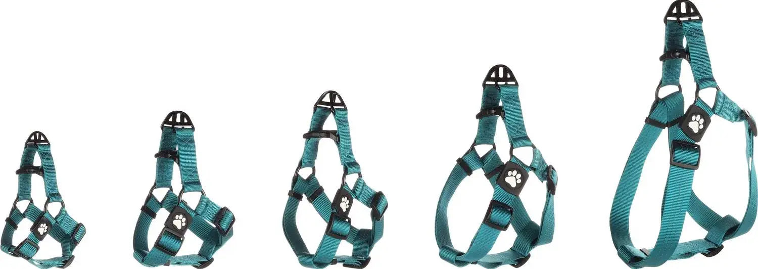 ARNES ZORBA TURQUESA XXL 85-130CM 38MM