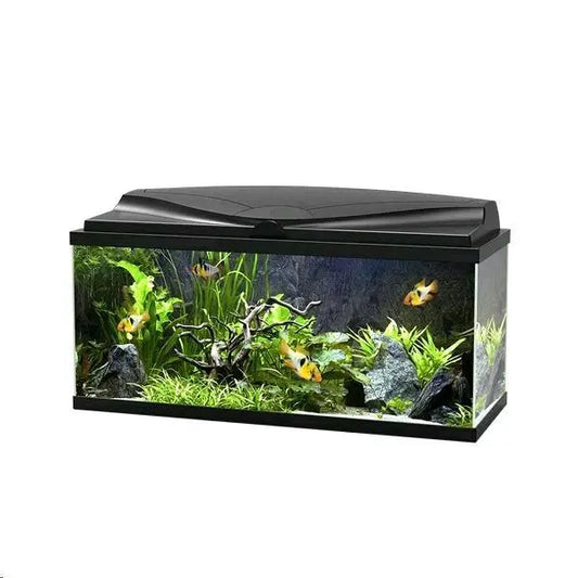 ACUARIO AQUA 80 LIGHT NEGRO CIANO 80X30X41,5CM 71L.