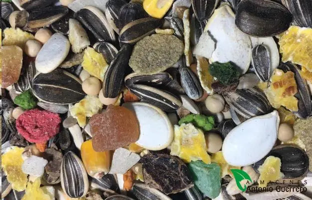 MIXTURA LOROS/COTORRAS SINFONIA BOLSA 500GR