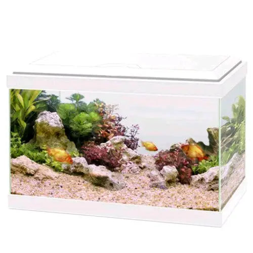 ACUARIO AQUA 20 LIGHT CIANO