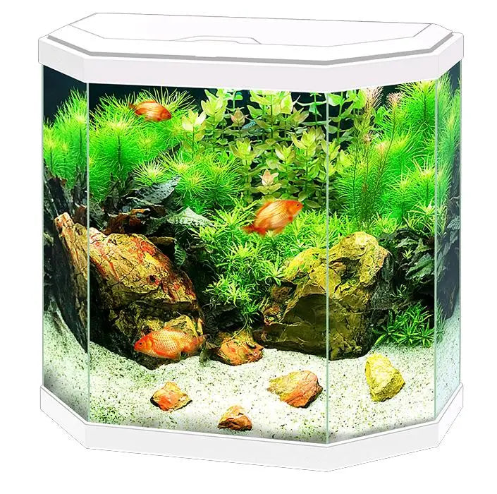 ACUARIO AQUA 30 LIGHT CIANO