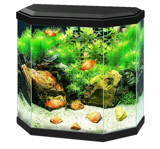 ACUARIO AQUA 30 LIGHT CIANO