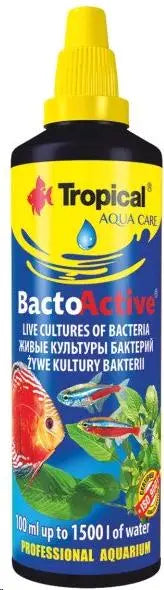 BACTO-ACTIVE LIVE BACTERIA