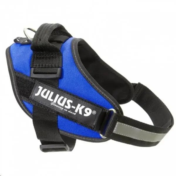 ARNES IDC JULIUS-K9 MINI AZUL 49-67cm.