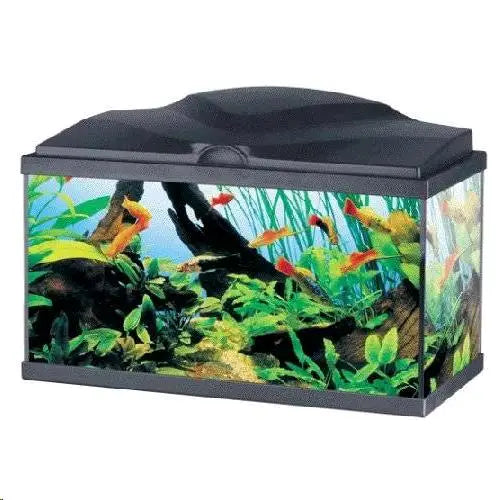 ACUARIO AQUA 60 PLUS LED NEGRO CIANO 60X30X37,2CM 65L.