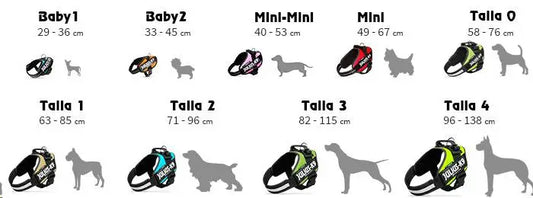 ARNES IDC JULIUS-K9 BABY 1 VAQUERO NEON 29-36cm.