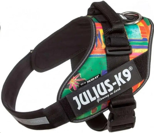 ARNES IDC JULIUS-K9 BABY 2 REGGAE CANIS 33-45cm.