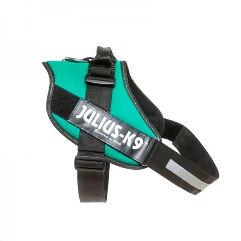 ARNES IDC JULIUS-K9 0 VERDE CLARO 58-76cm.