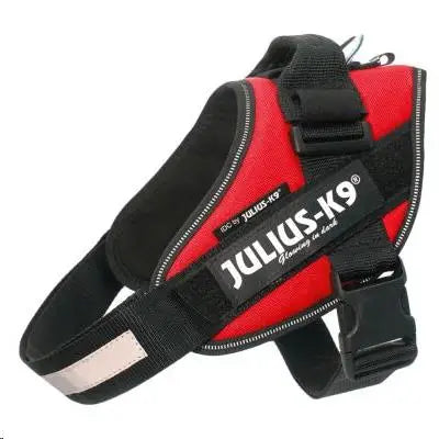 ARNES IDC JULIUS-K9 MINI ROJO 49-67cm.