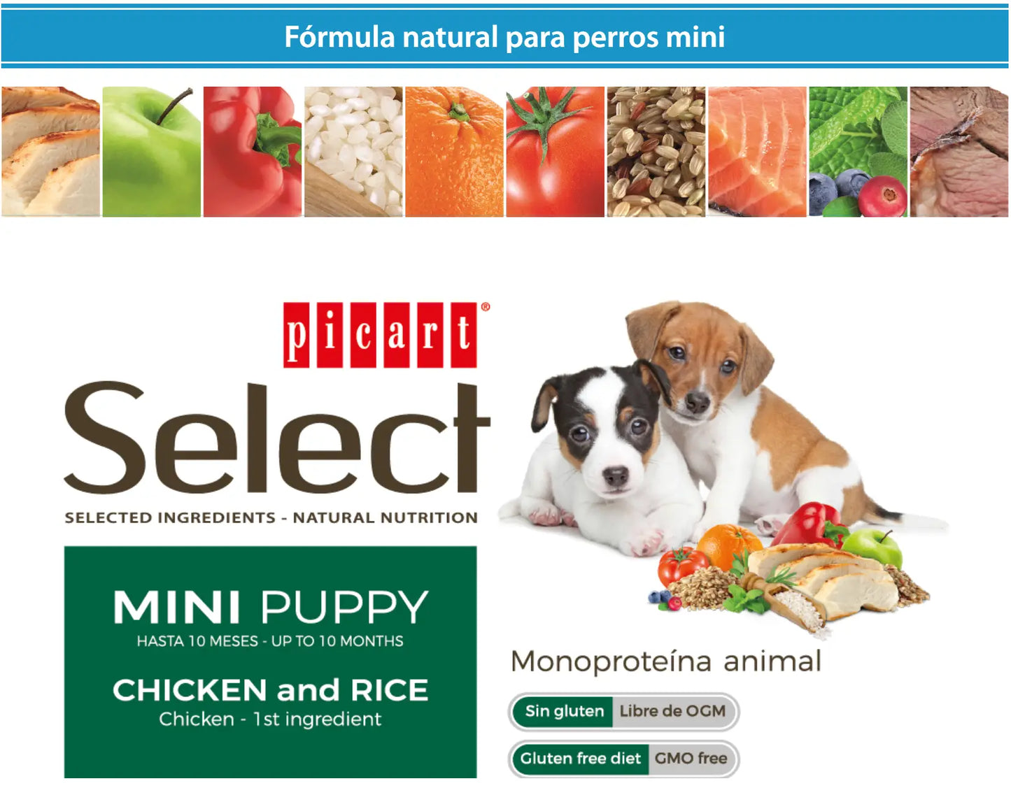 PICART SELECT PUPPY MINI