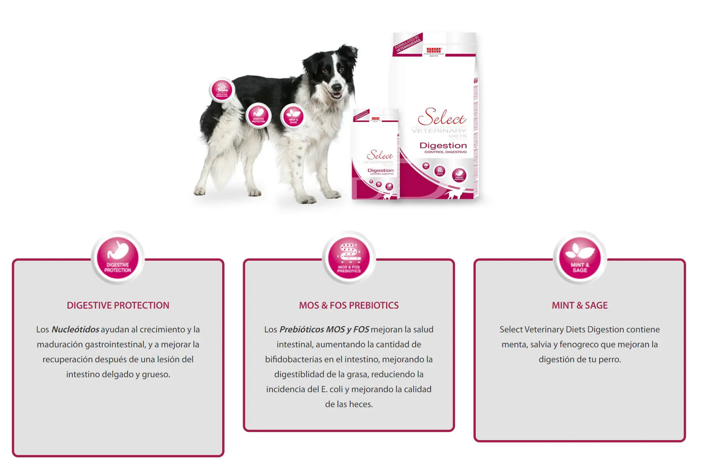 PICART SELECT VETERINARY DIGESTION
