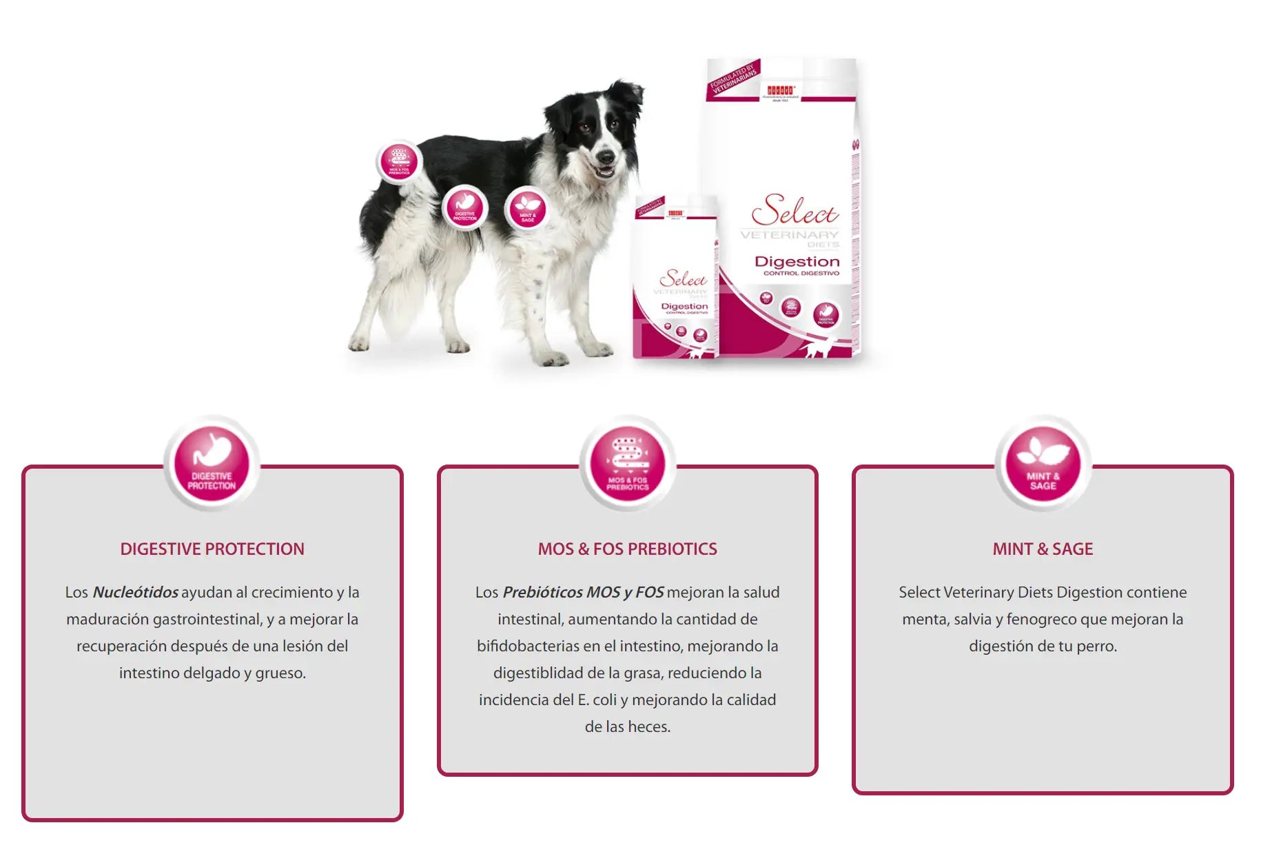PICART SELECT VETERINARY DIGESTION