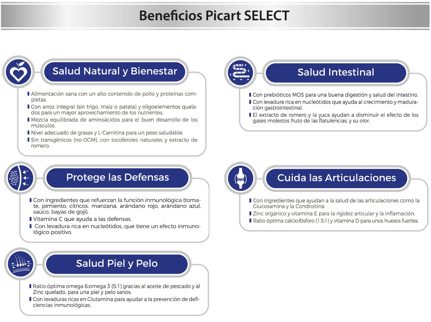 PICART SELECT SENIOR