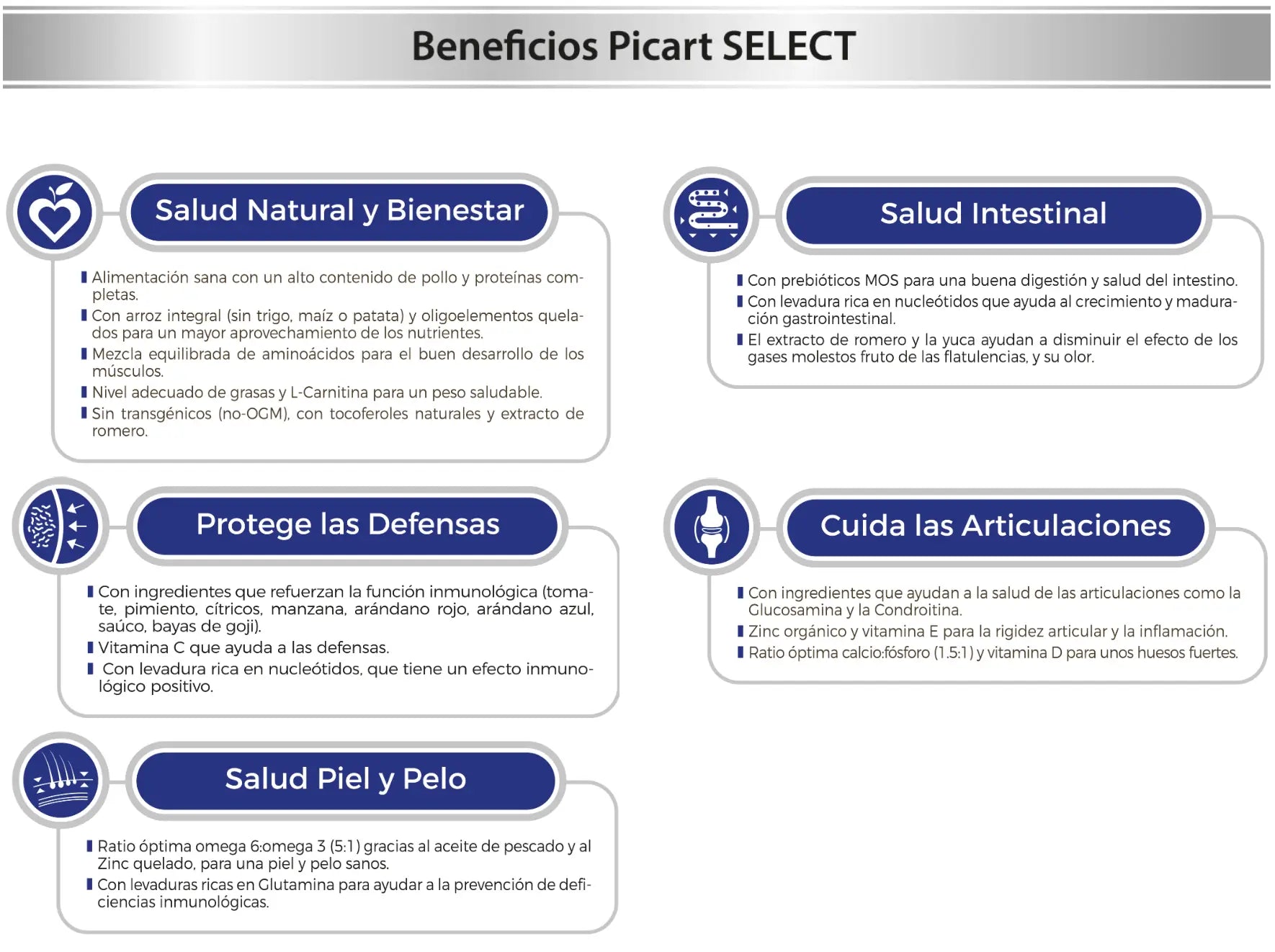 PICART SELECT SENIOR