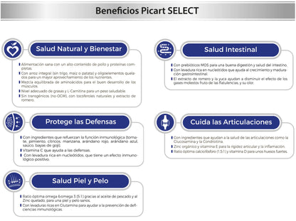 PICART SELECT SENIOR