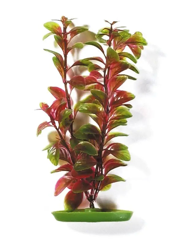 MARINA AQUASCAPER PEQ.  LUDWIGIA ROJA 12,5 cm
