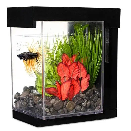MARINA BETTA EZ CARE Style KIT 3,7 l Negro