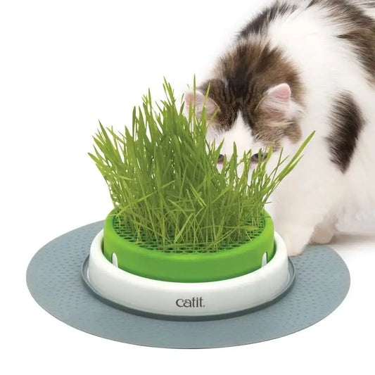 Catit Senses 2.0 Germinador Con Hierba Gatera