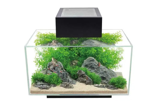 FLUVAL EDGE LED 2.0  23 litros Negro