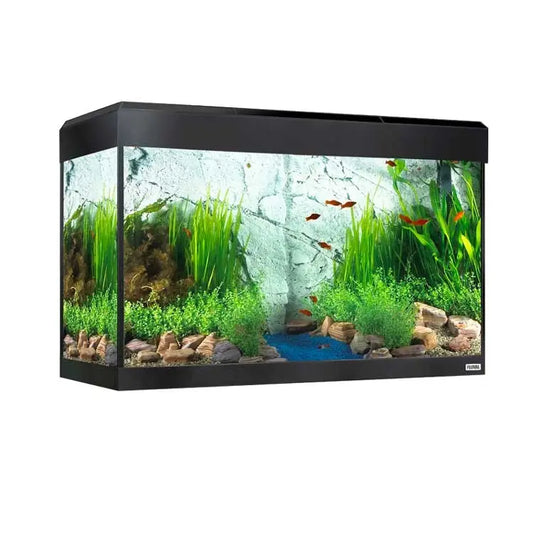 Fluval Roma Acuario 125 l Led Bluetooth Negro