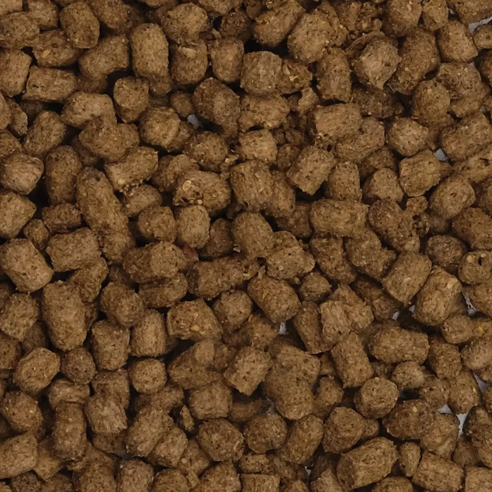 Fluval Bug Bites Cíclidos Gránulos 100g 5-7mm