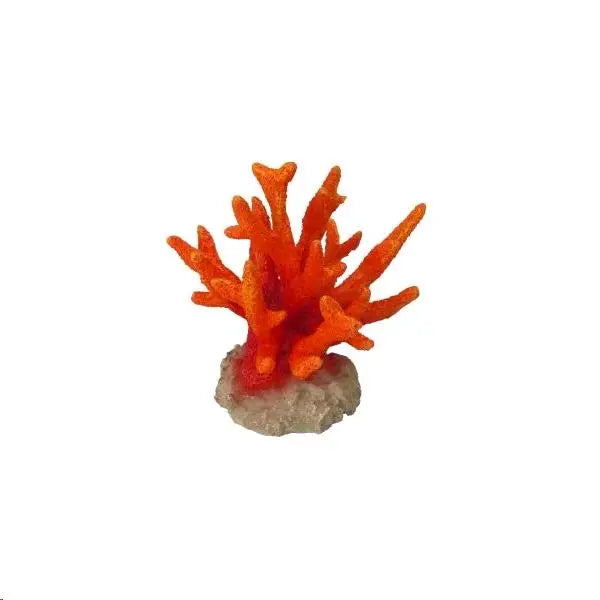 AQUA D'ELLA CORAL