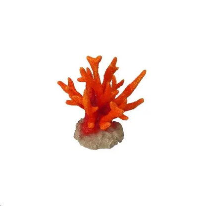 AQUA D'ELLA CORAL