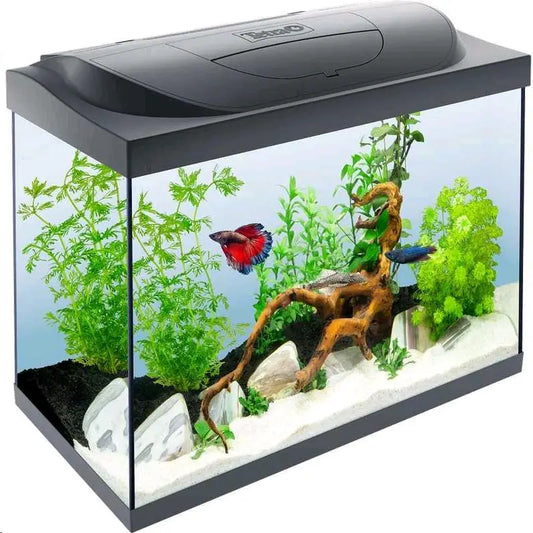 ACUARIO KIT TETRA STARTER LINE NEGRO 80L (51x61x32cm)