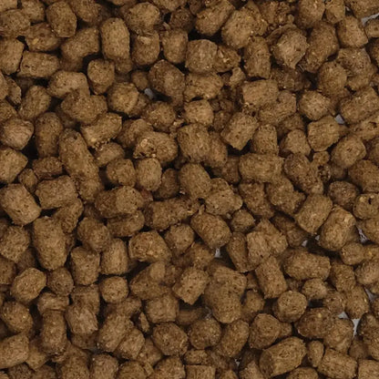 Fluval Bug Bites Cíclidos Gránulos 100 g 5-7Mm FLUVAL Mascotas-Ávila