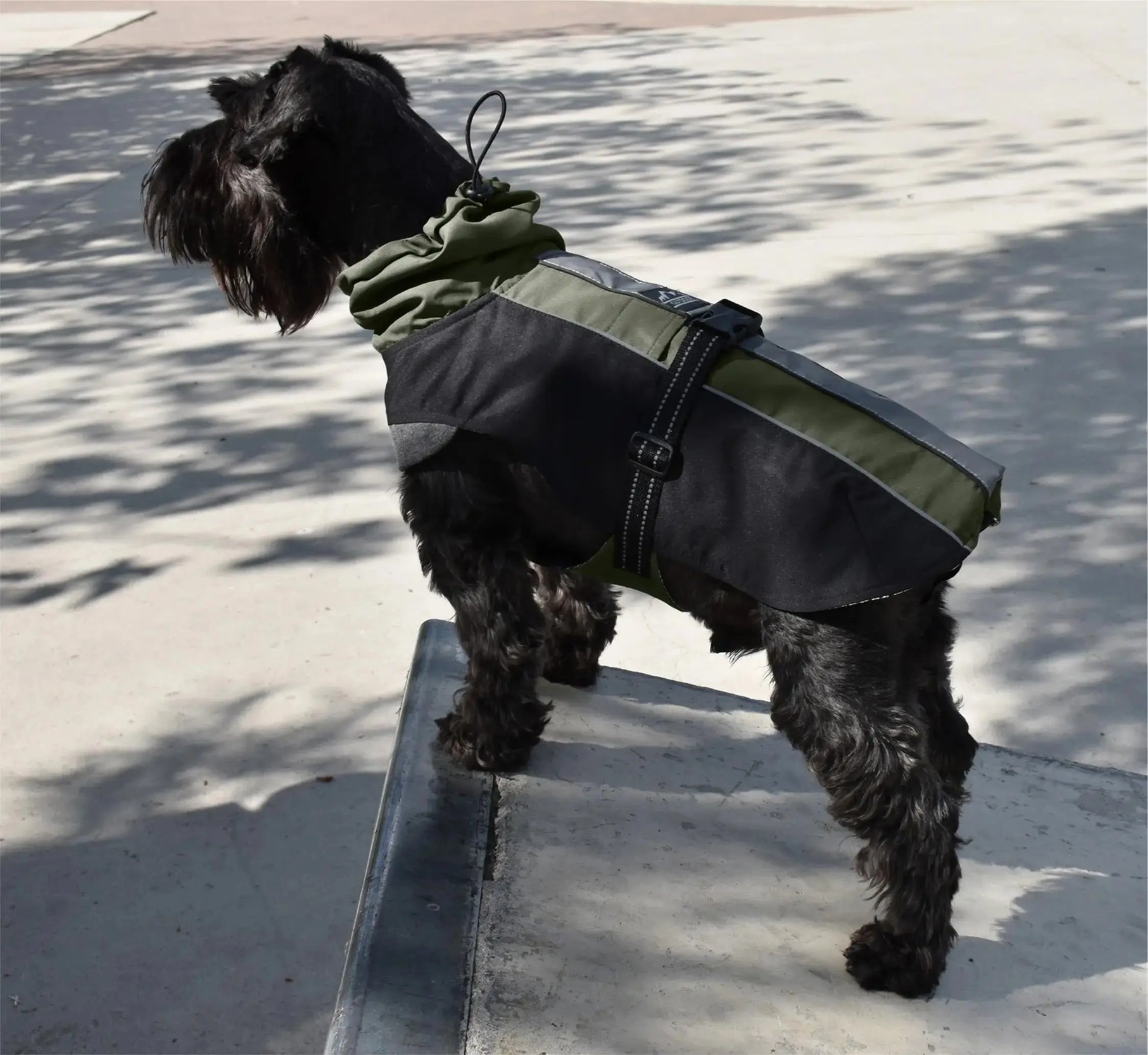Impermeable Hiking Verde NAYECO Mascotas-Ávila